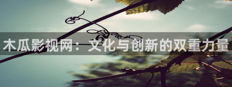 yy4680青苹果影院：木瓜影视网：文化与创新的双重力量