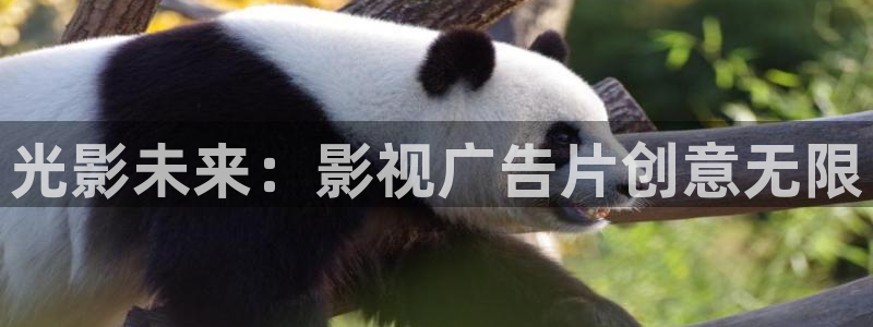 yy4680青苹果影院：光影未来：影视广告片创意无限