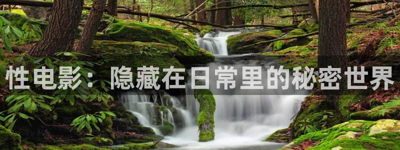 yy6680新影视大全：性电影：隐藏在日常里的秘密世界