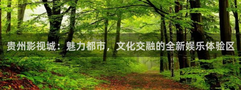 青苹果影院6680：贵州影视城：魅力都市，文化交融的全新娱乐体验区