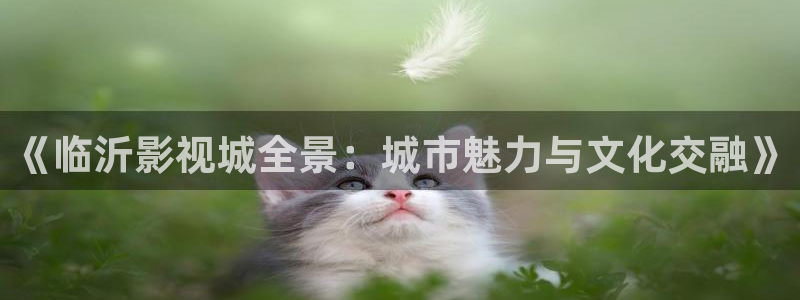 神马影院1684：《临沂影视城全景：城市魅力与文化交融》