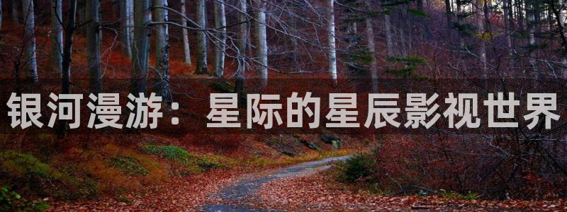yy4680私人影院在线观看：银河漫游：星际的星辰影视世界